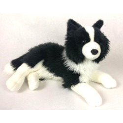 PIES BORDER COLLIE 31CM