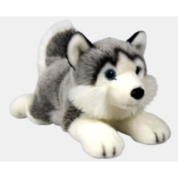 PIES HUSKY 27CM