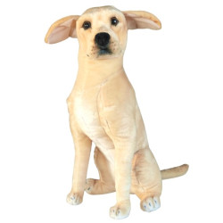 PIES LABRADOR 66CM