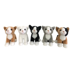 KOTKI 15CM 5 KOLORÓW