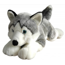 PIES HUSKY 62CM