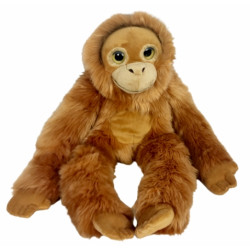 ORANGUTAN BIG EYES 50CM