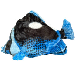 RYBA HEPATUS NIEBIESKA 41CM