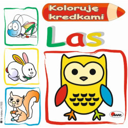 KOLORUJĘ KREDKAM LAS