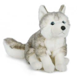 HUSKY 25CM 