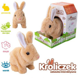 KRÓLICZEK NA BATERIE 