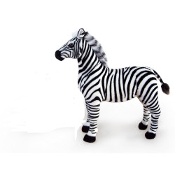 ZEBRA 30CM