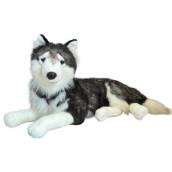 PIES HUSKY LEŻĄCY 60CM